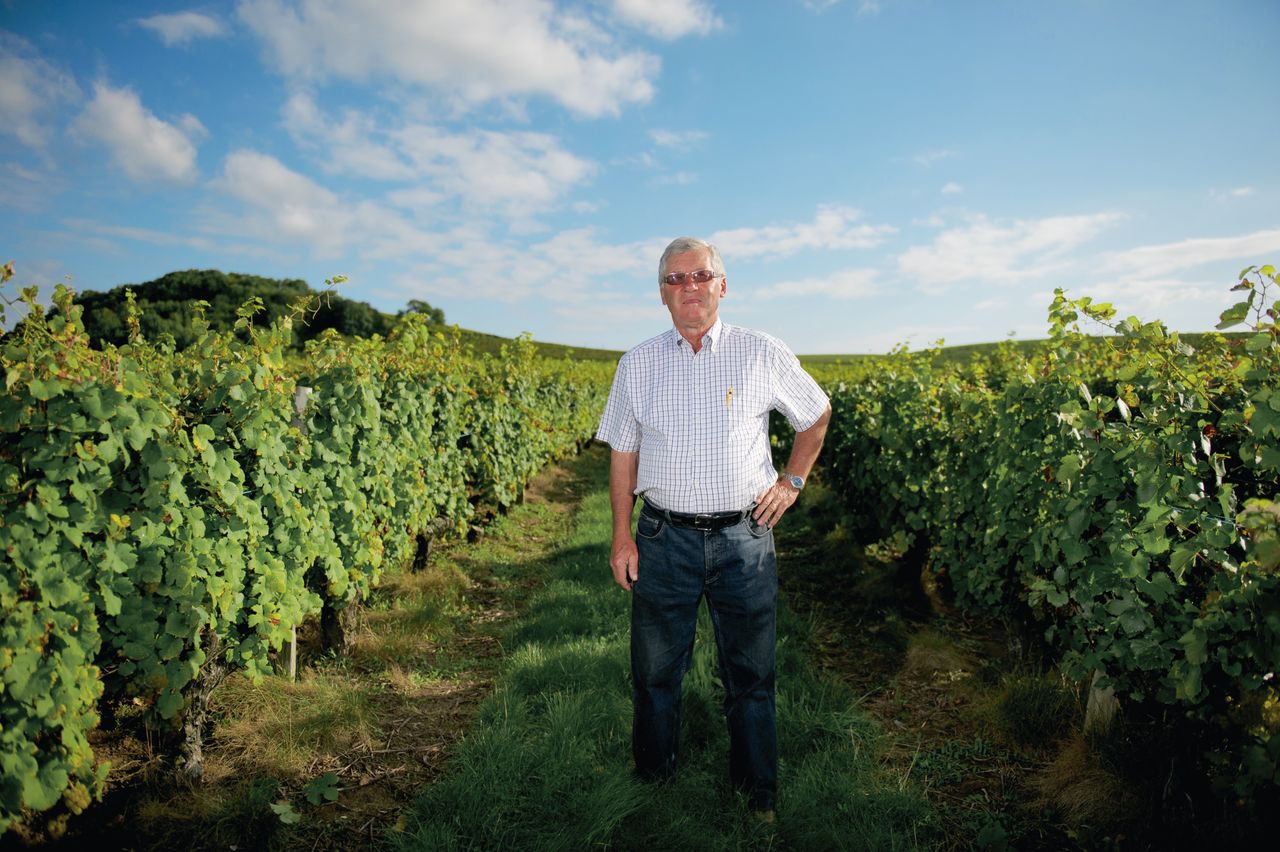 Vins Vigneron Pierre Rolet portraitPR-16